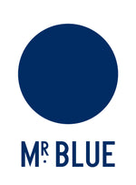 MR.BLUE 
